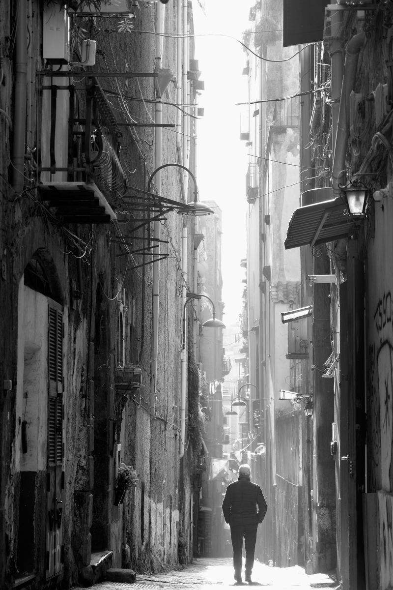 Nordlys Byvandringer AS 8